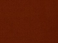 Allure Apricot Velvet