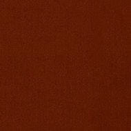 Allure Apricot Velvet