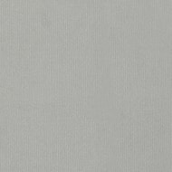 Allure Silver Velvet