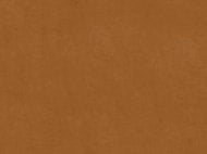 Boutique Saffron Velvet