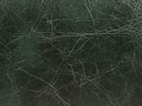 Vintage Green Leather