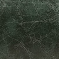 Vintage Green Leather